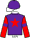 Racing colours