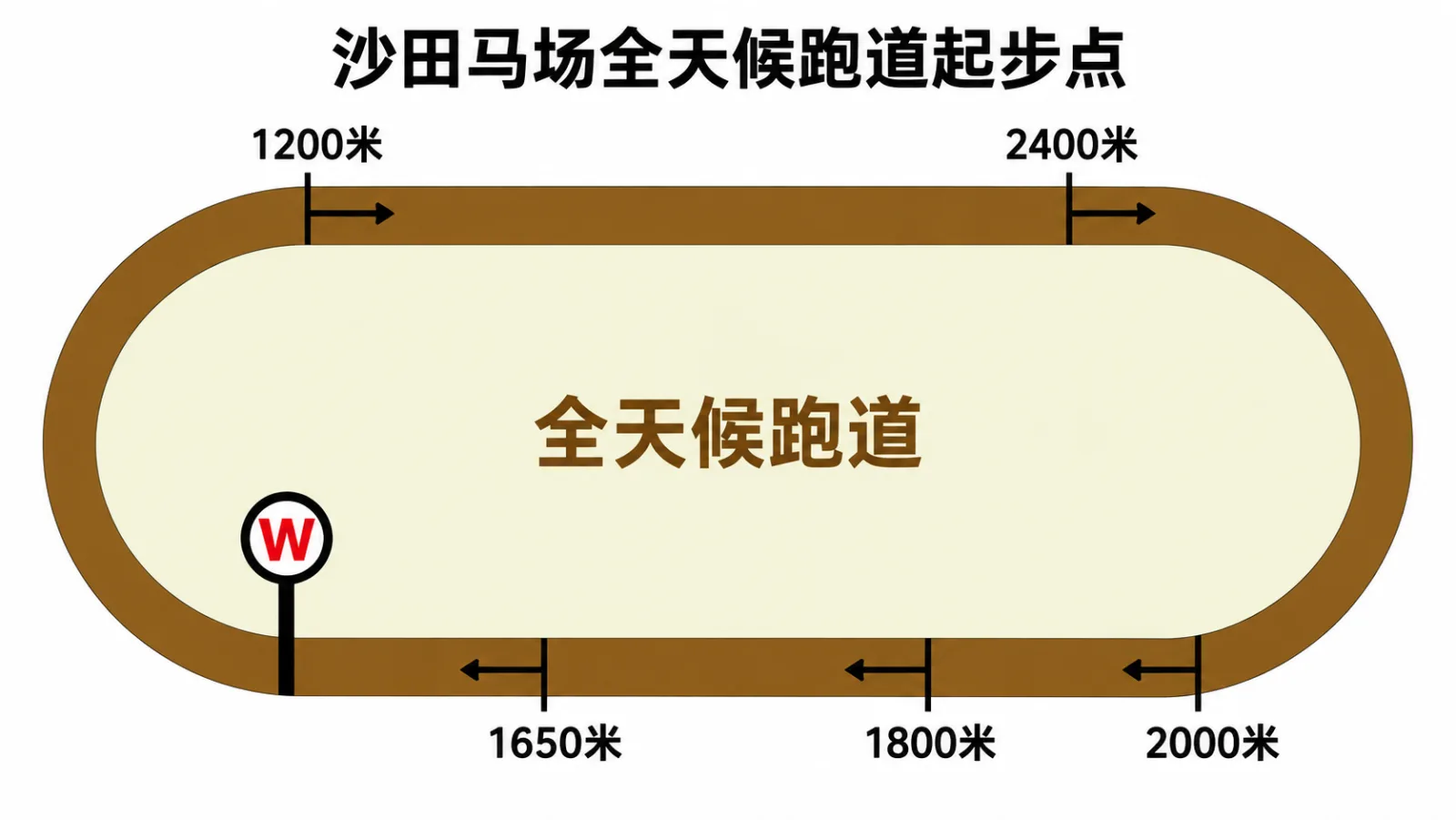 沙田马场 全天候跑道起步点