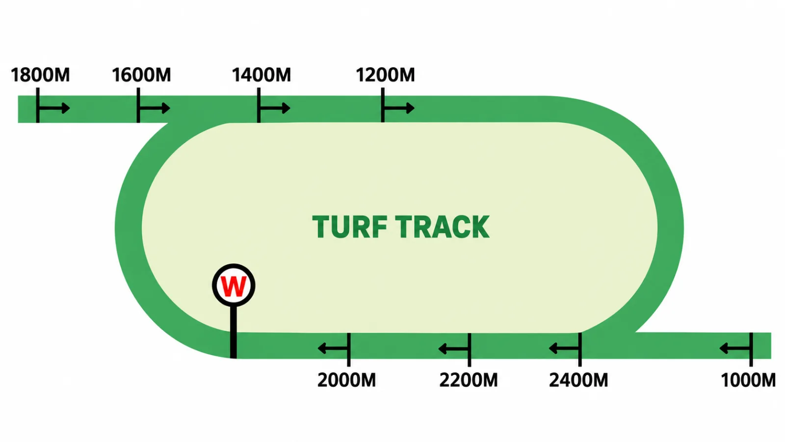 Sha Tin Racecourse Turf track starts