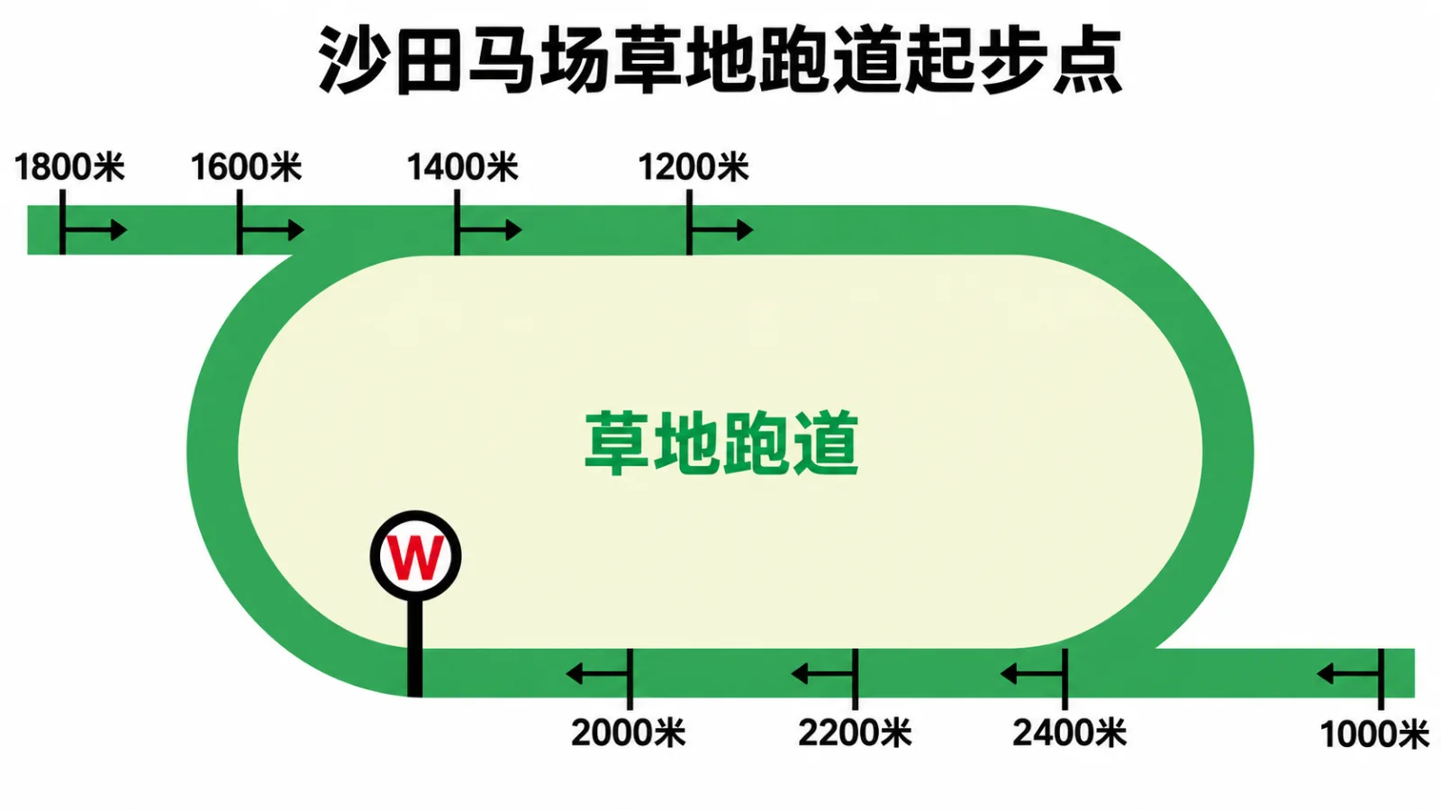 沙田马场 草地跑道起步点